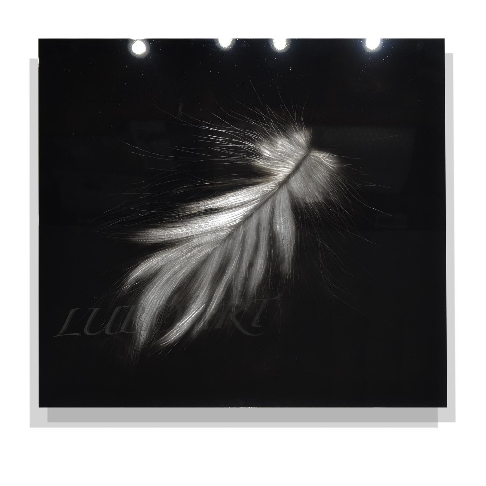 The Feather - 48 x 48 inches  