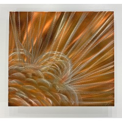 Star Eruption - 24" x 24"   Star Eruption - 24" x 24"