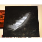 The Feather - 24" x 24"   